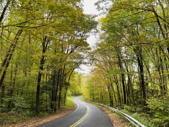 Longhouse Scenic Drive reopens in time for leaf season